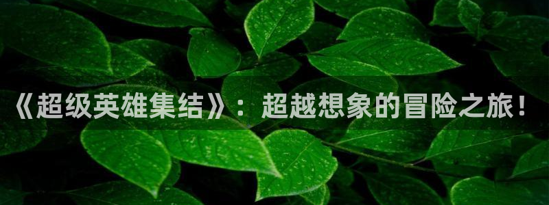 风车动漫专注动漫的门户网站官网：《超级英雄集结》：超越想象的冒险之旅！